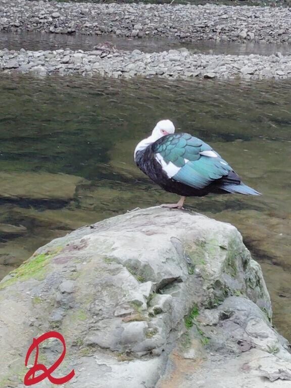 見たわよね