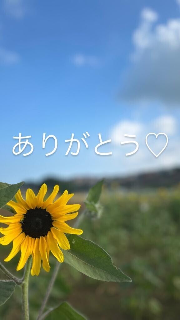お礼