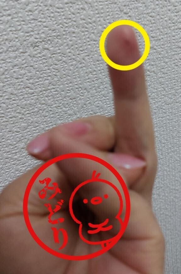 子供の時以来…