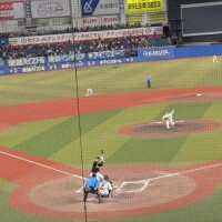 まこ