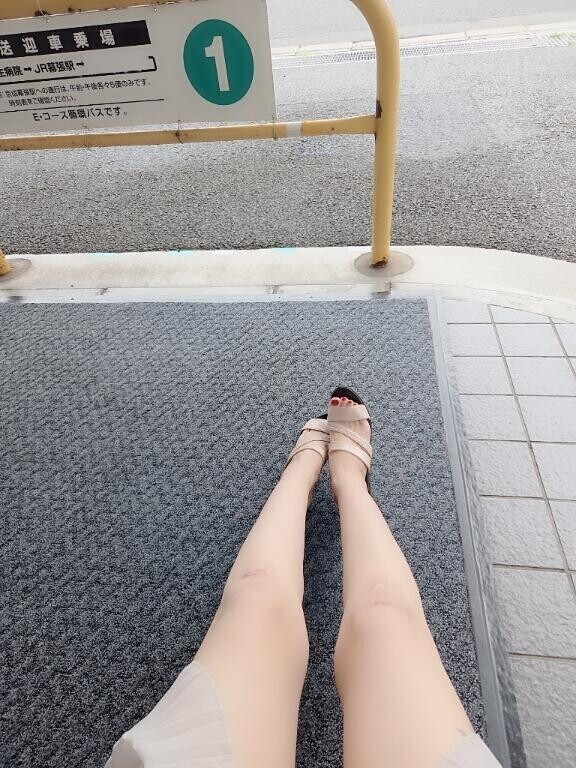 昼間に会える