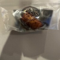 ひめな