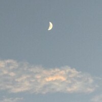 みすず