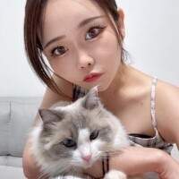 あげは