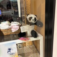 みすず