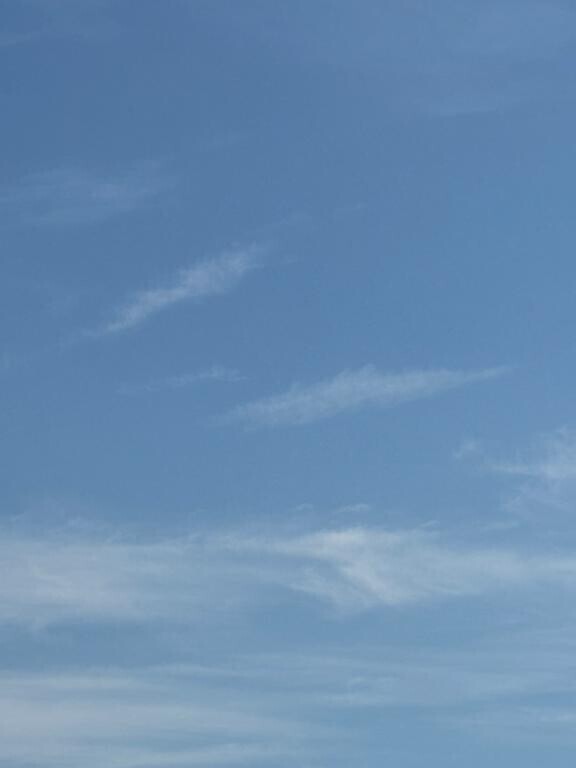 遊びに来てね＼(^o^)／