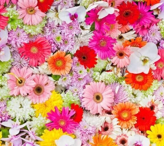 ２４日のお礼日記です♡