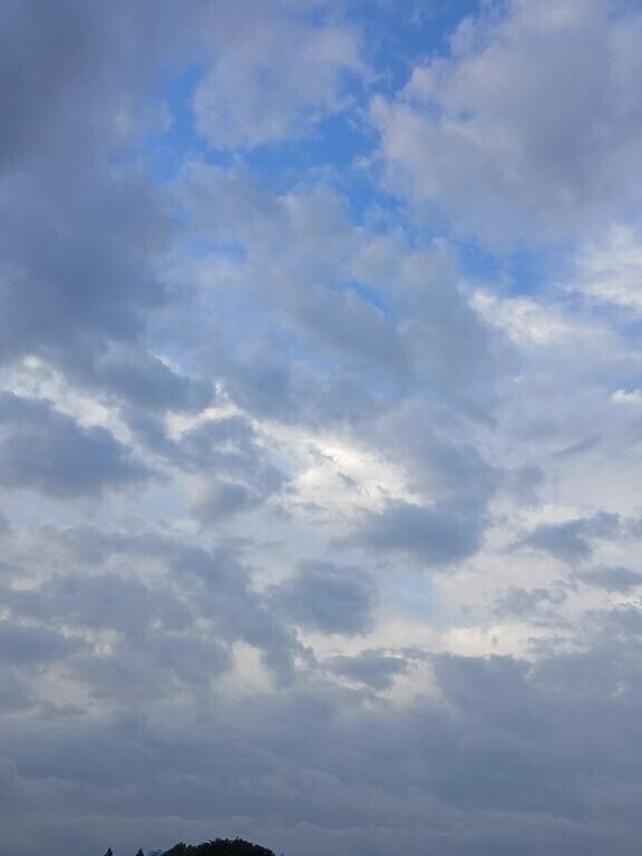 おはようございます