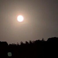 じゅんこ