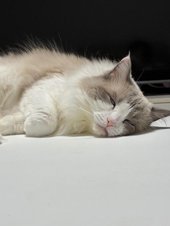 🩵目を通してくれると嬉しい🩵