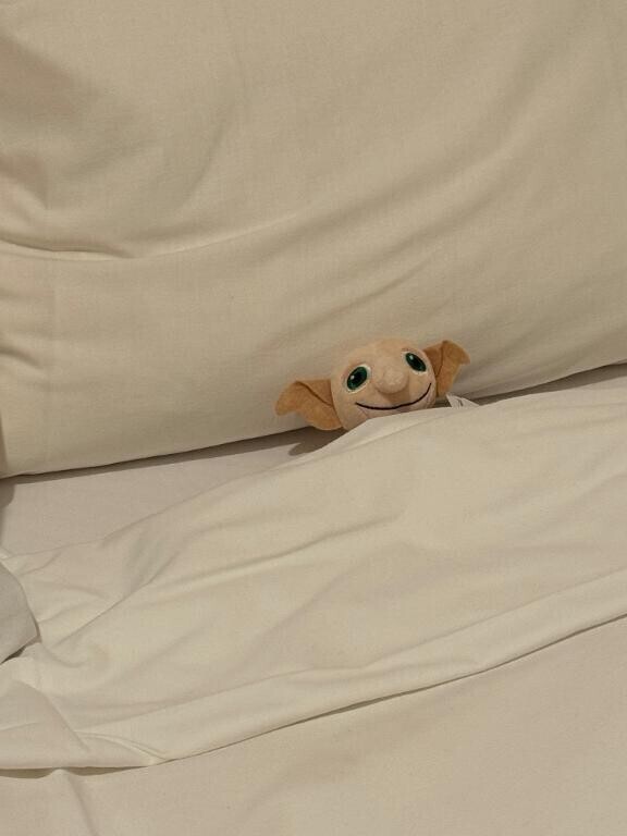 よかったよ！！