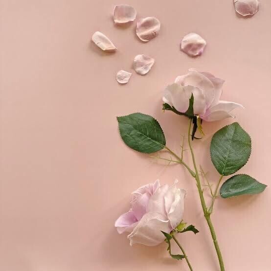 (*´-`)待ってます