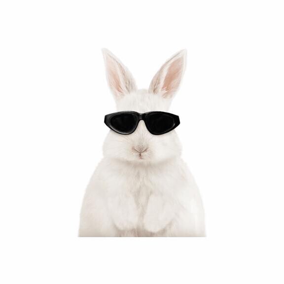 電車ガラガラだぁ〜(´°v°)/