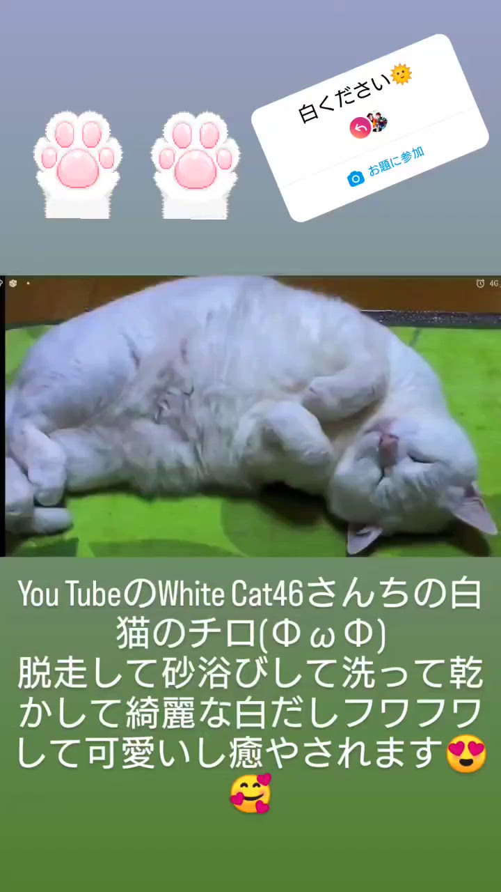 [お題]from:怖いんだけどさん おはようございます𓃠(=^・^=)