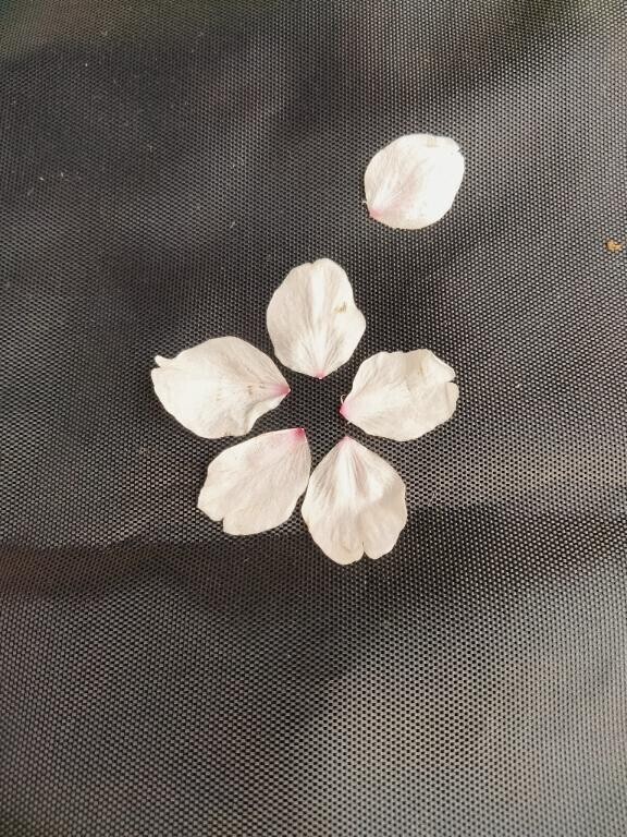 出勤日変更のお知らせ