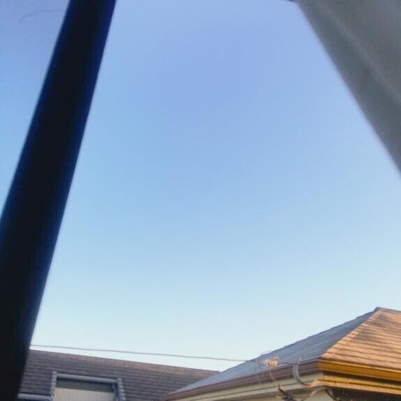 おはようございます