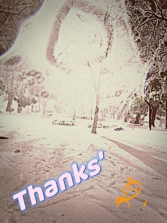 16:00〜オメオメ