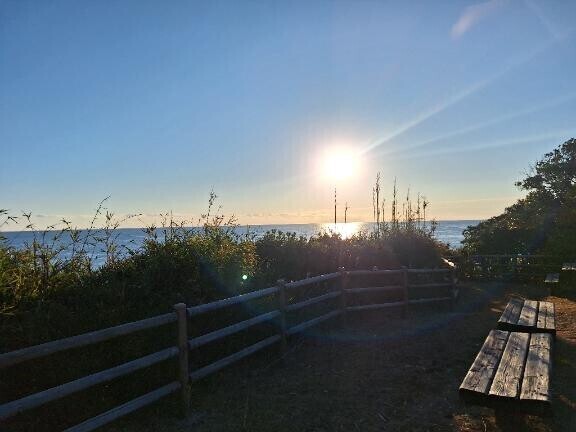 今週の予定です。