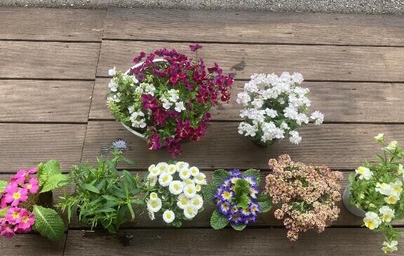 なつきのプロフィールにも