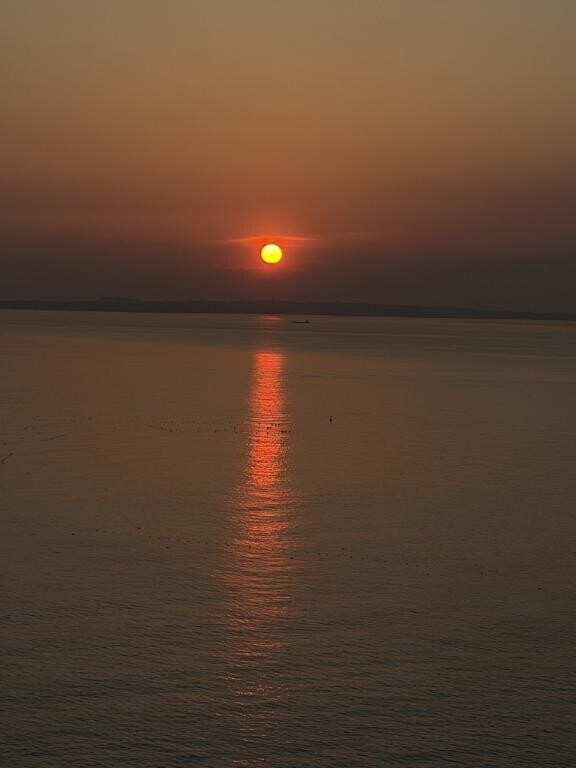 とっても綺麗な夕日