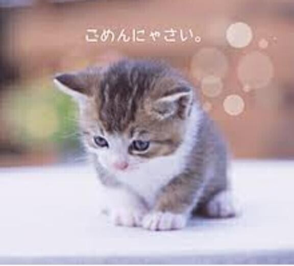 今日...