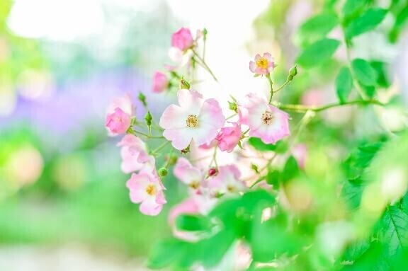 今日もありがとうございました🩷