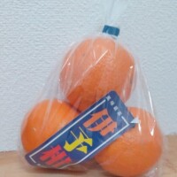 さえこ