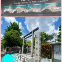 みどり