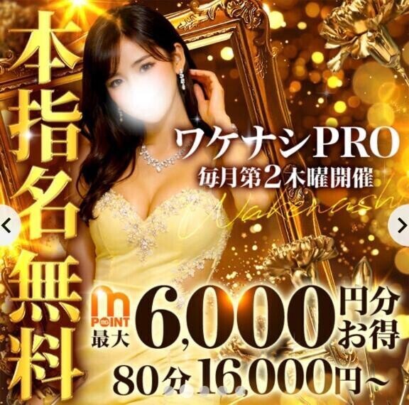 ワケナシ