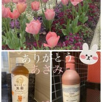 あさみ