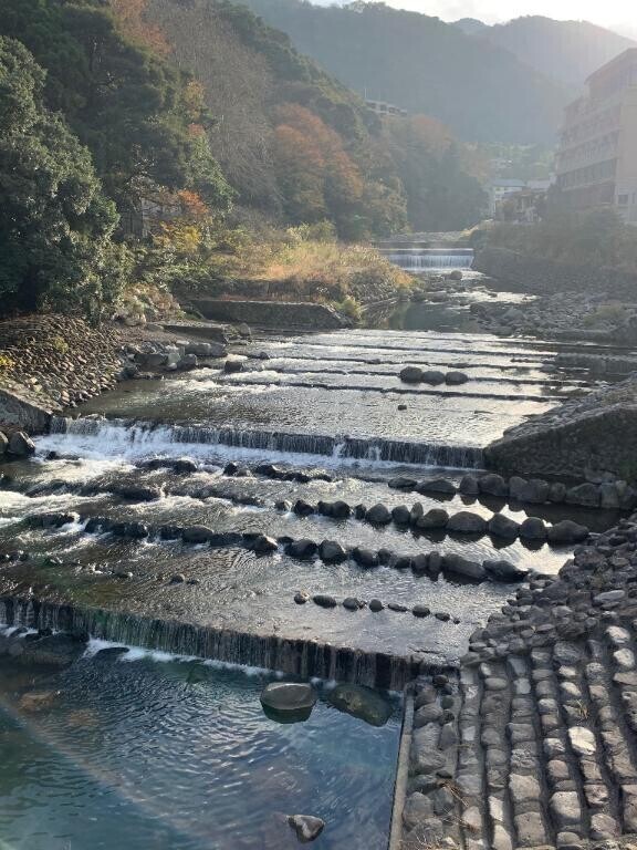 はなきん♡﻿
