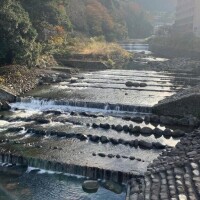 りんね
