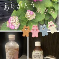 あさみ