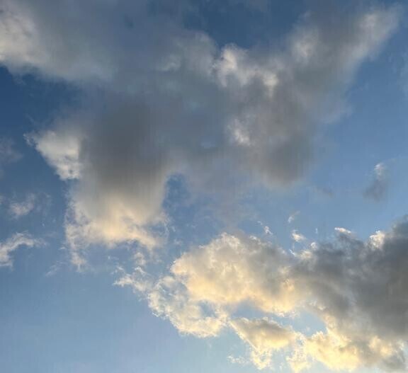 久しぶりに。