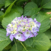 ありがとうございました♡