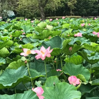 ありがとうございました♡