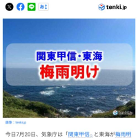 無理無理無理無理！！！