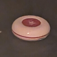 赤い丸に馳せる今日この頃