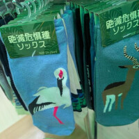 お暑ぅございます