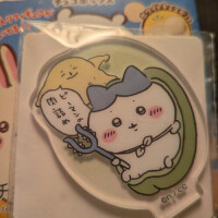 雨だー！ありがとうございました！
