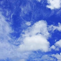 今日は・・・