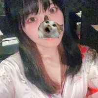 (/・ω・)/にゃー!