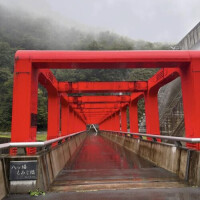 気をつけて〜( ´ ▽ ` )  