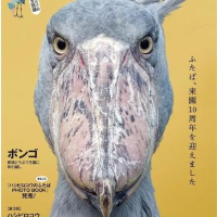 本日お遊びしていただきまさして！感謝！