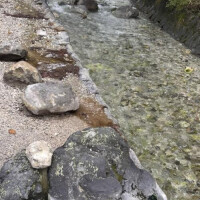 刺激的な・・・