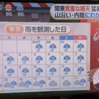 やっと・・・