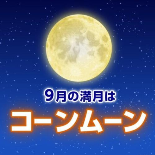 ハーベスト厶ーンともいうみたいね