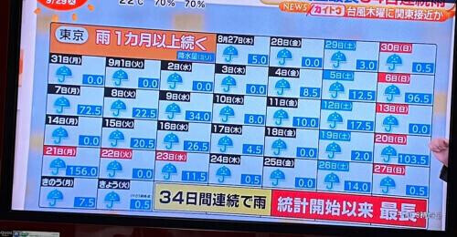 実は…