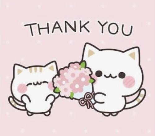 (°▽°)