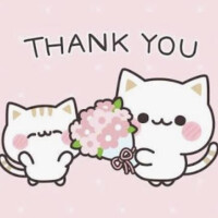 (°▽°)